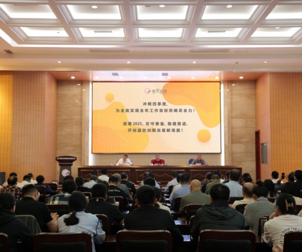 bwin集团官网丝绸2024年三季度经济形势分析会顺利召开